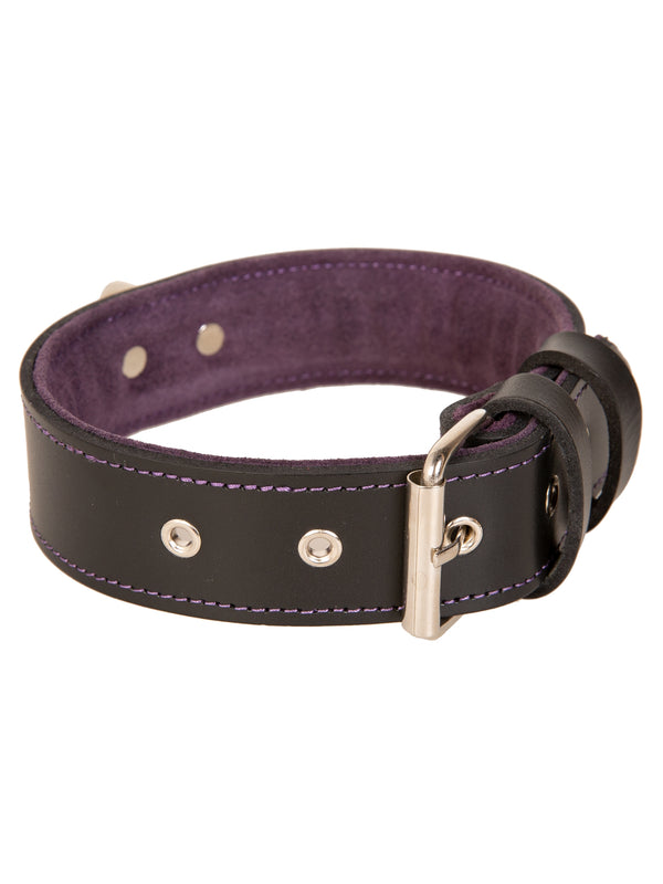 Skin Two UK Purple Trim Black Leather Collar With D Ring Collar