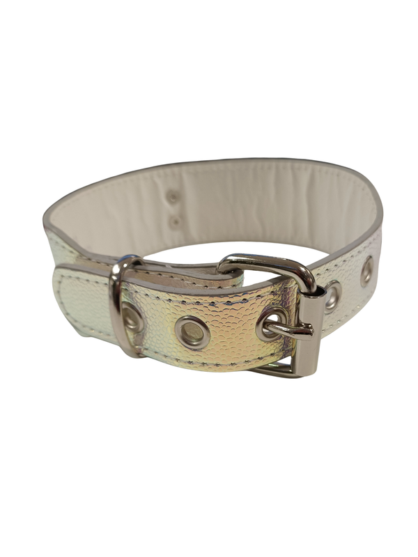 Wide Collar With 2 Inch O Ring - Textured Iridescent