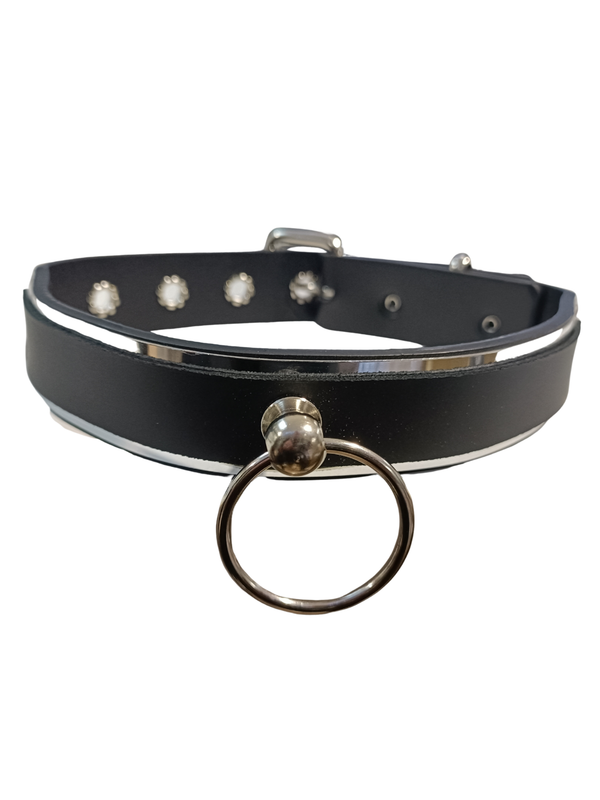 Metal & Leather Plated Collar With O Ring & Leash