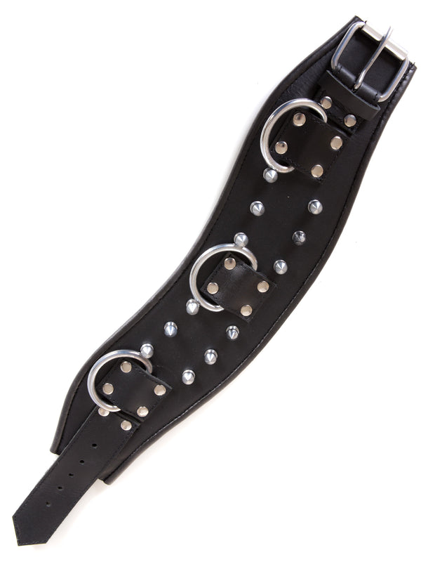 Clearance - Leather Spike Posture Collar