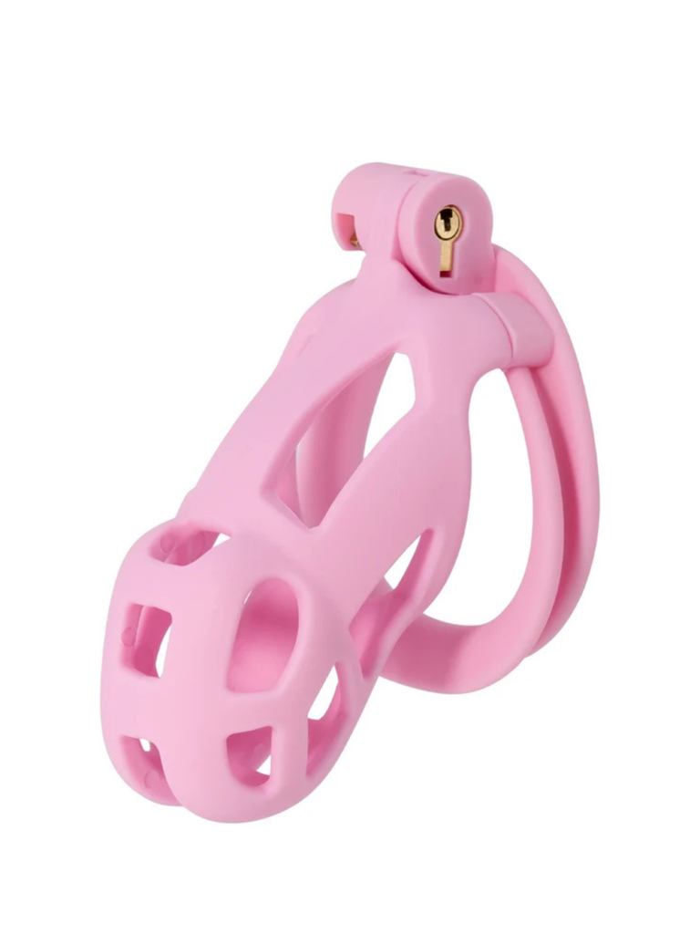 Penis Prison Cock Cage Regular