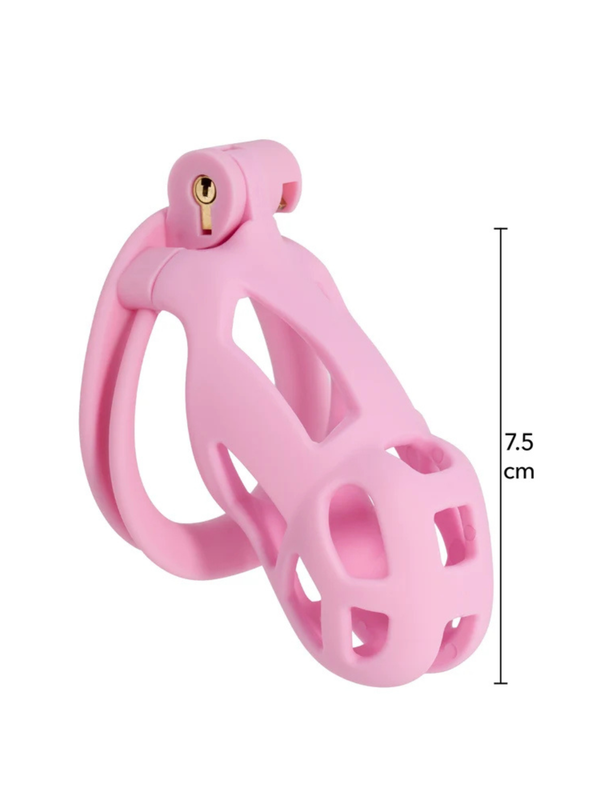 Penis Prison Cock Cage Regular