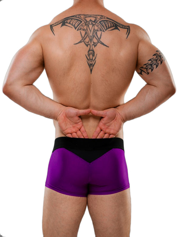 Skin Two UK Jake U Trunk Purple Briefs