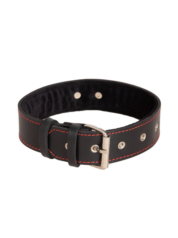 Skin Two UK Red Seamed D-Ring Collar Collar