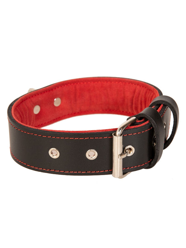 Skin Two UK Red Trim Black Leather Collar With D Ring  Collar