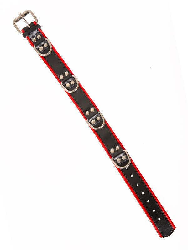 Skin Two UK Black And Red Leather Four D Ring Collar Collar