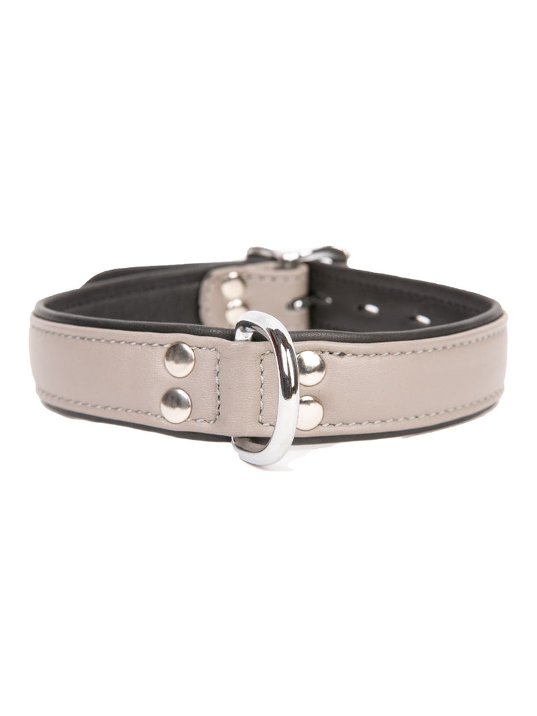 Skin Two UK Grey Leather D-Ring Collar with Black Piping Collar
